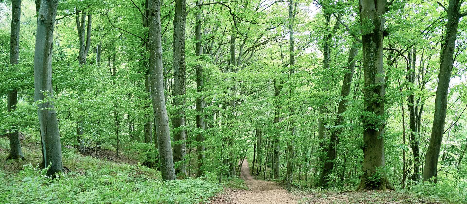 minett unesco biosphere