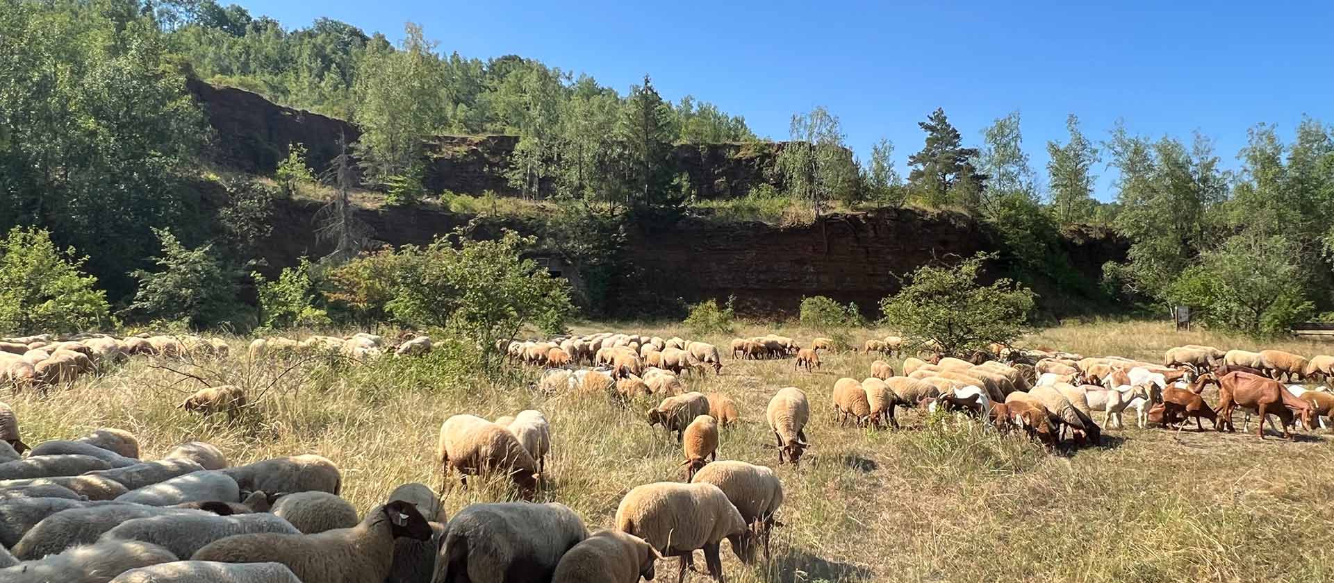 minett unesco biosphere