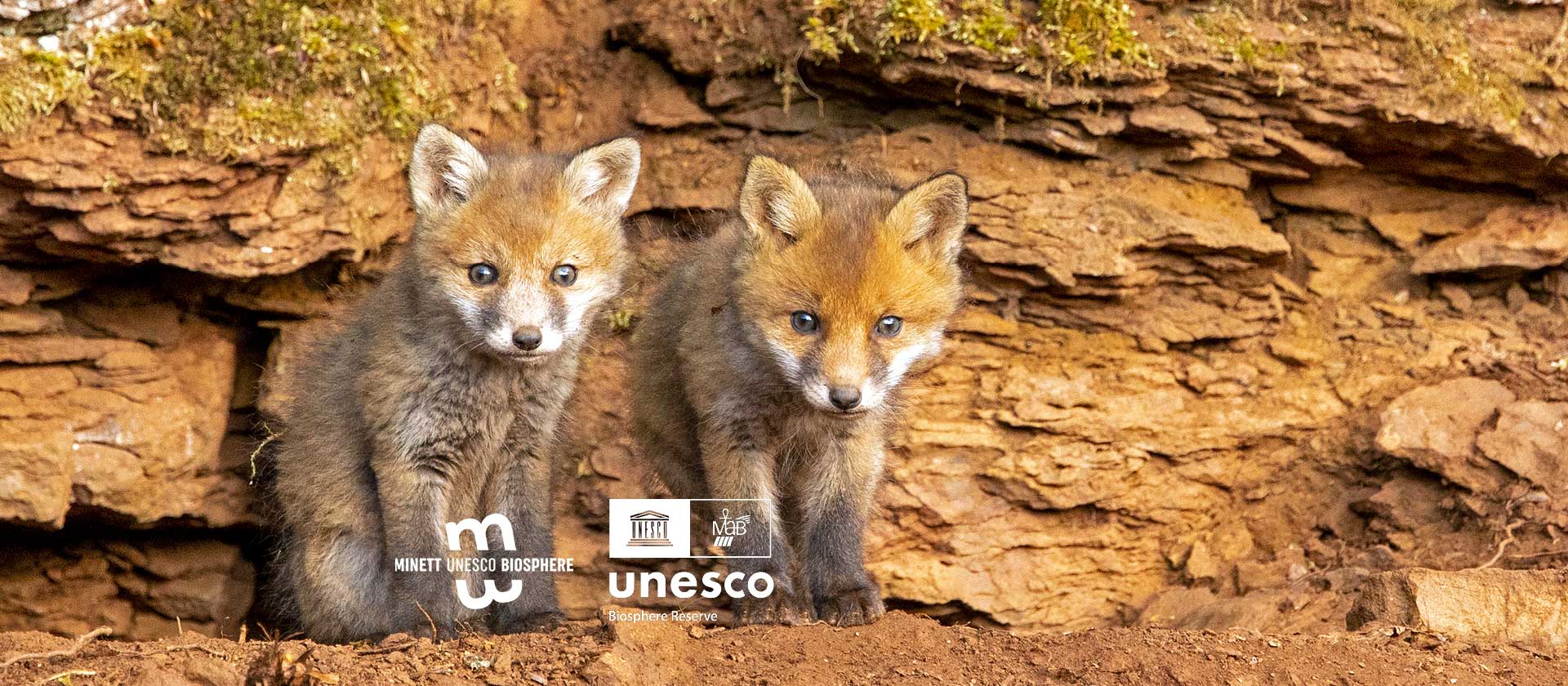 minett unesco biosphere